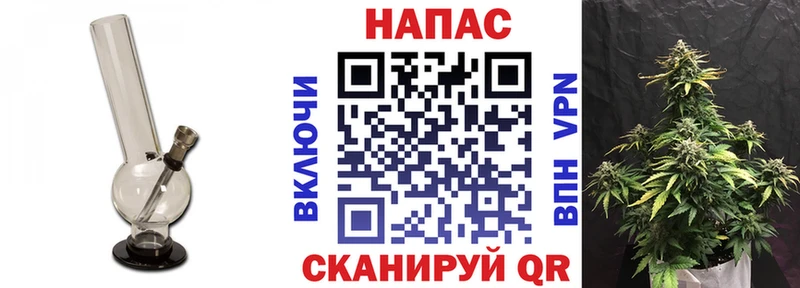 Шишки марихуана семена Прокопьевск